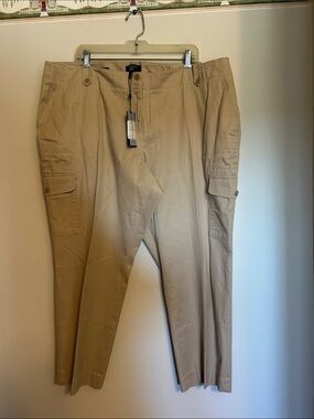 Talbots tan colour 98% cotton front zip pants size 22WP new with tags